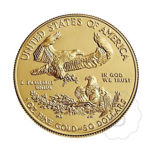 American Eagle Type 1 2020 Goud 1 Troy Ounce #1