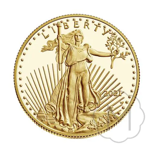 American Eagle Type 1 Meerjarig Goud 0,5 Troy Ounce #2
