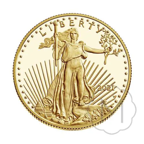 American Eagle Type 1 Meerjarig Goud 1 Troy Ounce #2