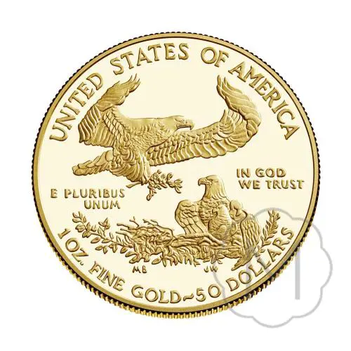 American Eagle Type 1 Meerjarig Goud 1 Troy Ounce #1