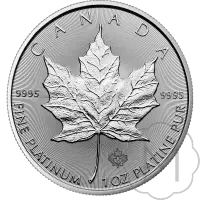 Maple Leaf
