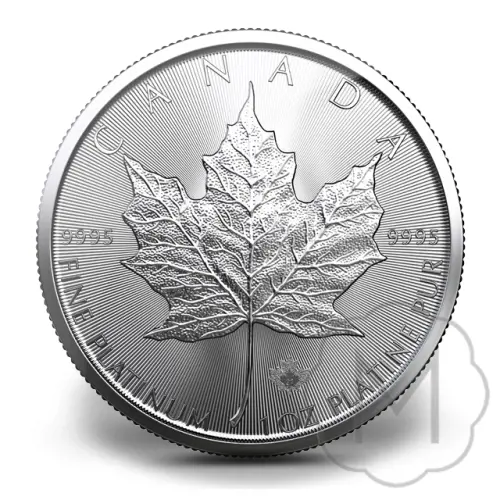 Maple Leaf Platin 1 Troy Ounce #1