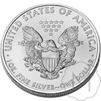 American Eagle Type 1