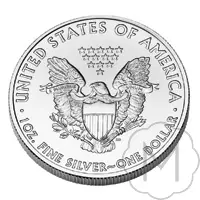 American Eagle Type 1