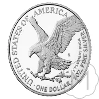 American Eagle Type 2