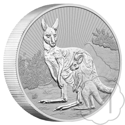 Australian Kangaroo Multiple Years Silver 2 Troy Ounce #1