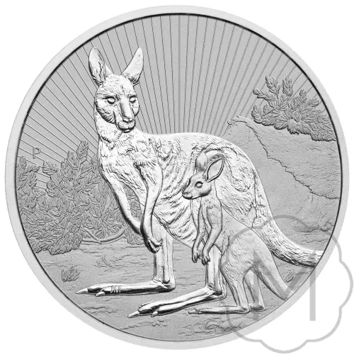 Australian Kangaroo Multiple Years Silver 2 Troy Ounce #2