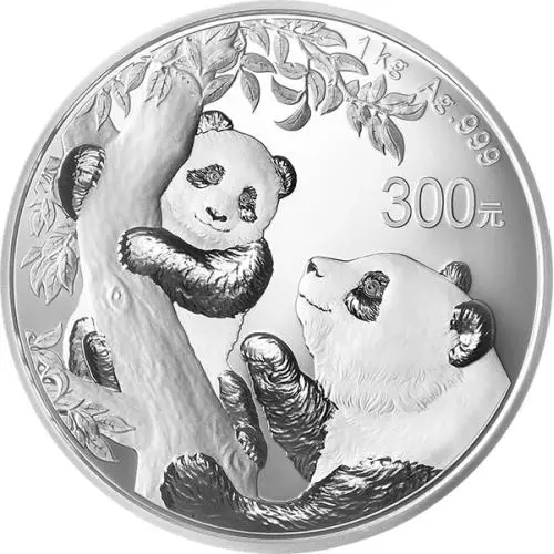 Chinese Panda 2021 Silber 1 Kilogramm #1