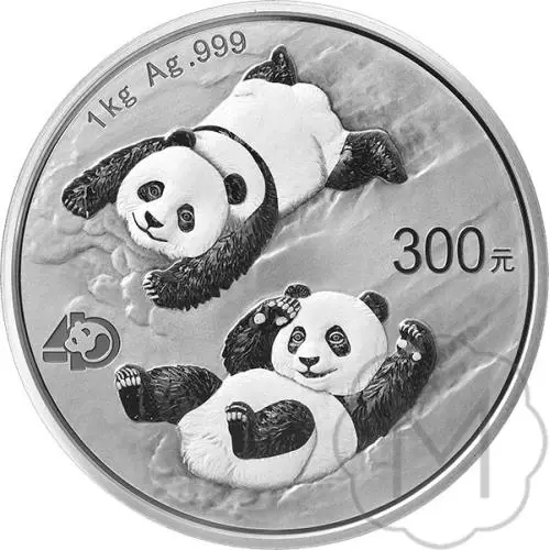 Chinese Panda 2022 Silber 1 Kilogramm #1