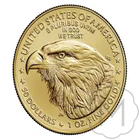 American Eagle Type 2