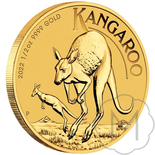 Australian Kangaroo #3