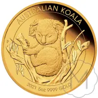 Australian Koala