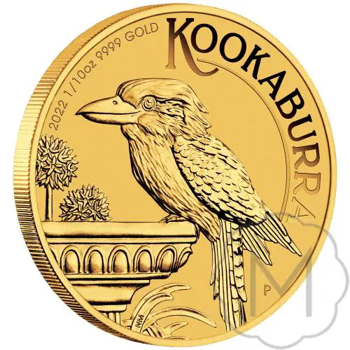 Australian Kookaburra #3