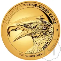 Wedge-tailed Eagle