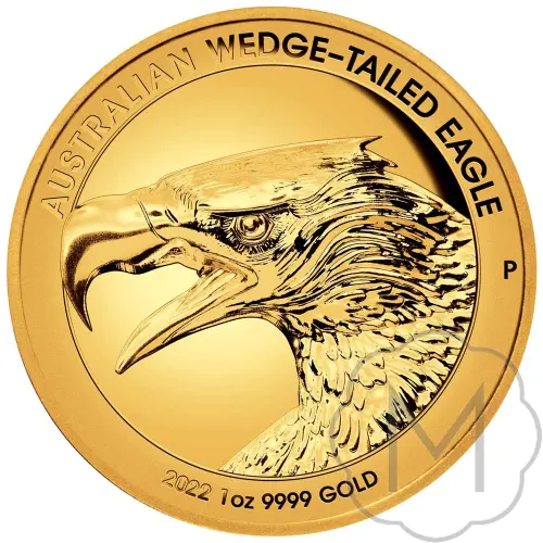 Wedge-tailed Eagle #1