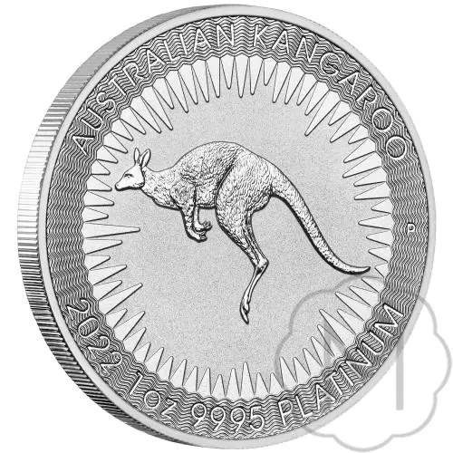 Australian Kangaroo #3