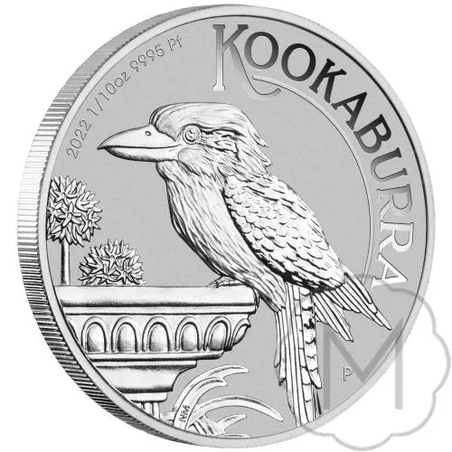 Australian Kookaburra #3
