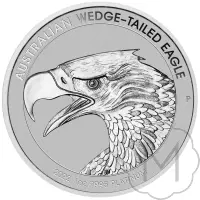 Wedge-tailed Eagle