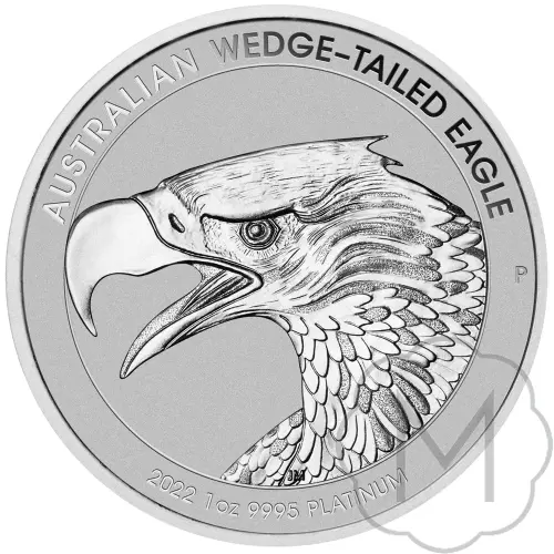 Wedge-tailed Eagle #1