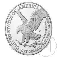 American Eagle Type 2