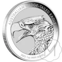 Wedge-tailed Eagle