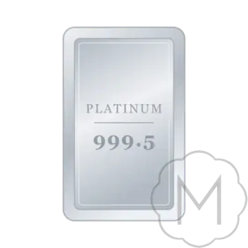 Unbranded bars (platinum) 100 g