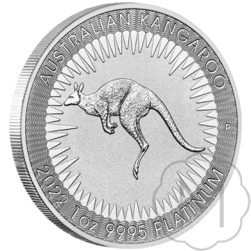 Platina Kangaroo platina, foto 1 van 2