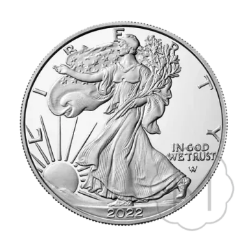 Zilveren American Eagle zilver, foto 2 van 9