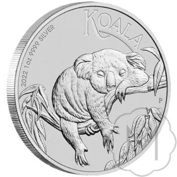Koala