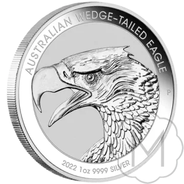 Wedge-tailed Eagle